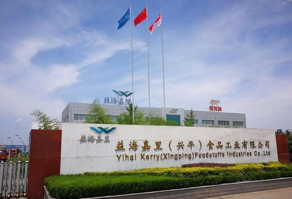 金龙鱼项目 金龙鱼项目